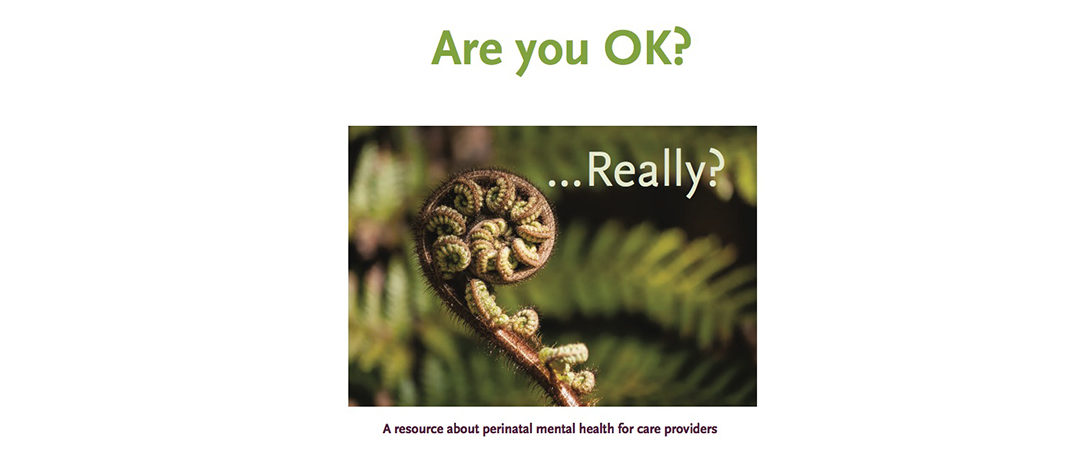 PADA book “Are you OK….really?” Independent Herald article Wednesday 18th April