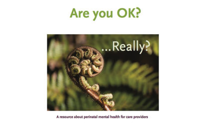 PADA book “Are you OK….really?” Independent Herald article Wednesday 18th April
