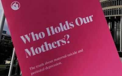 PADA joins Mothers Matter to #raisetheredflag at Parliament