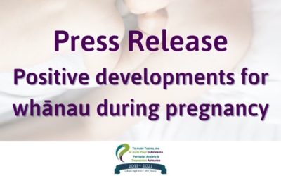 Press Release 28 Hepetema 2021