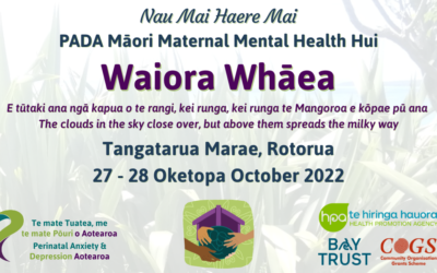 Waiora Whāea – Māori Maternal Mental Health Hui 2022