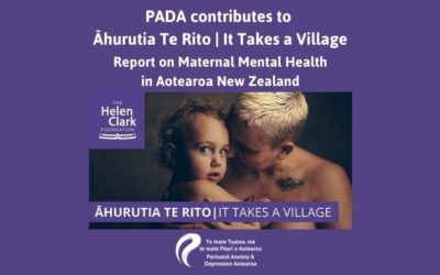 PADA Contributes to Āhurutia Te Rito | It takes a village Report