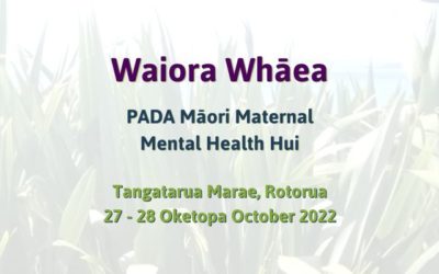 Read about Māori Maternal Mental Health Hui 2022 – Waiora Whāea